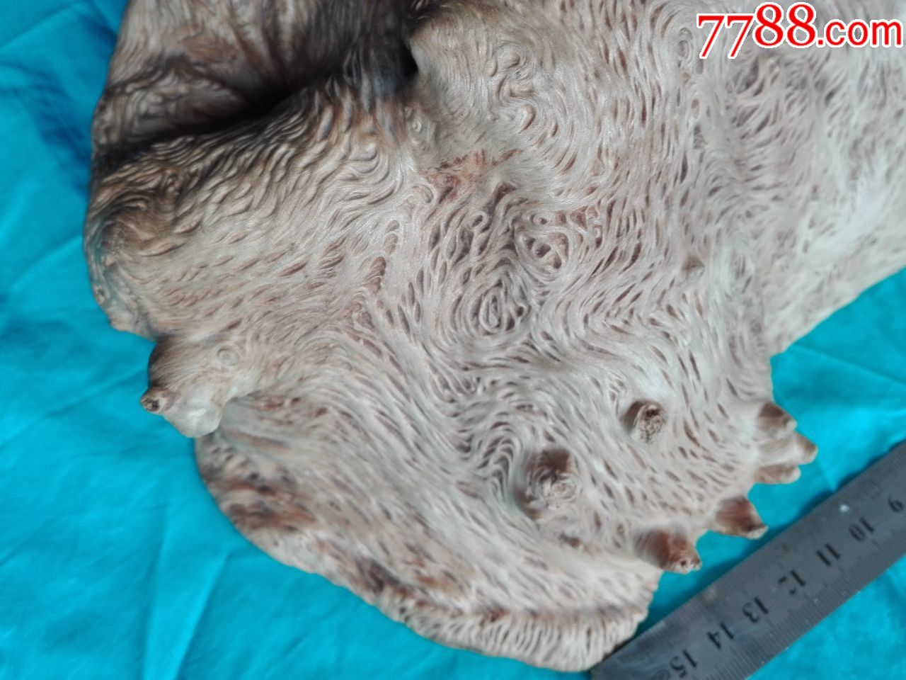 樱木(树瘤子)原木