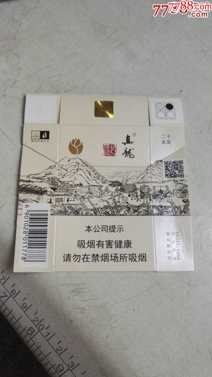 真龙起源一条图片图片