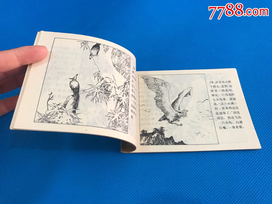 白民国《镜花缘》