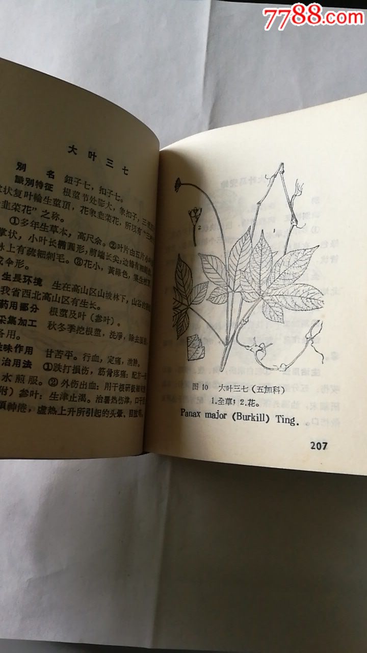 中草药土方土法战备专辑