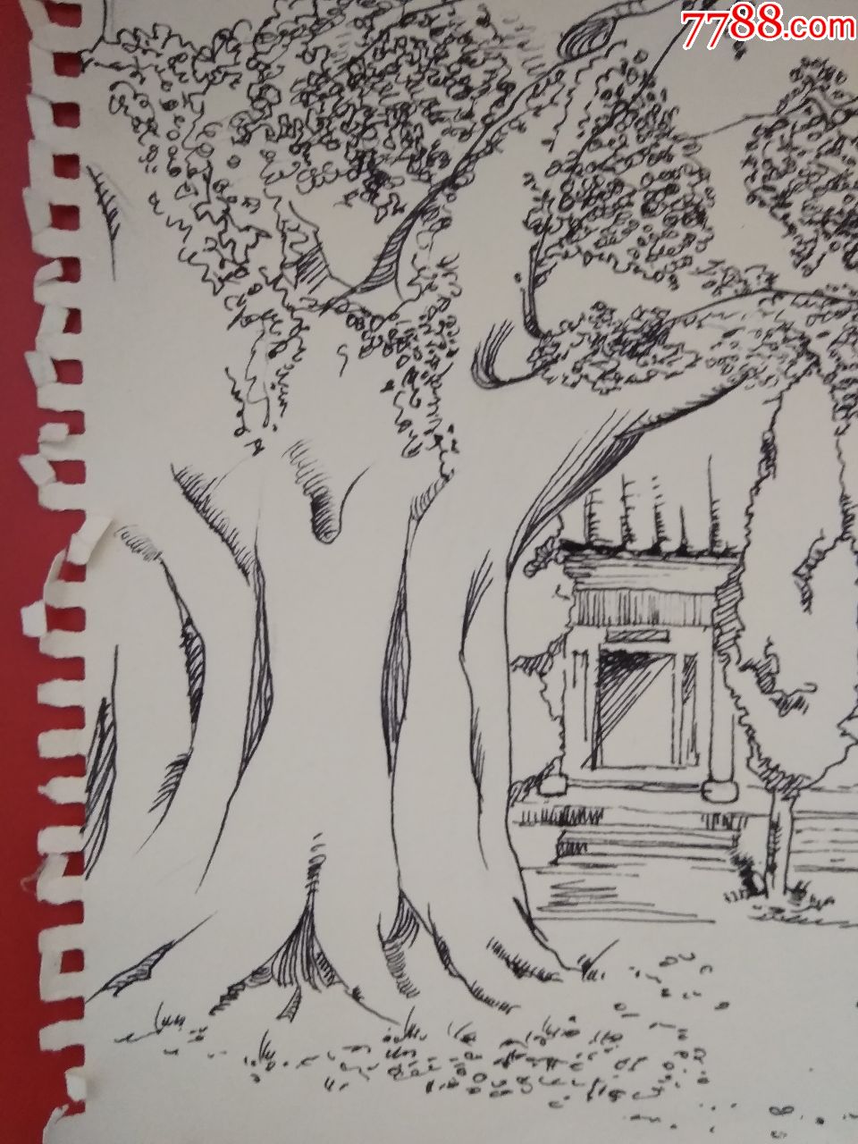钢笔速写-风景