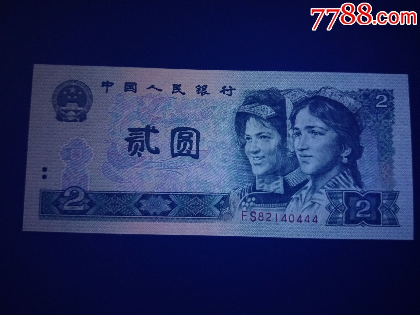 4070553d.jpg