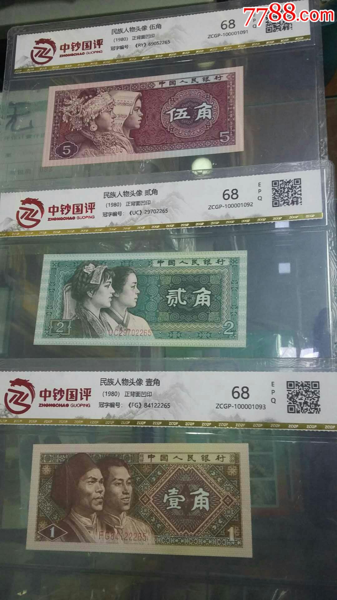 4072831e.jpg
