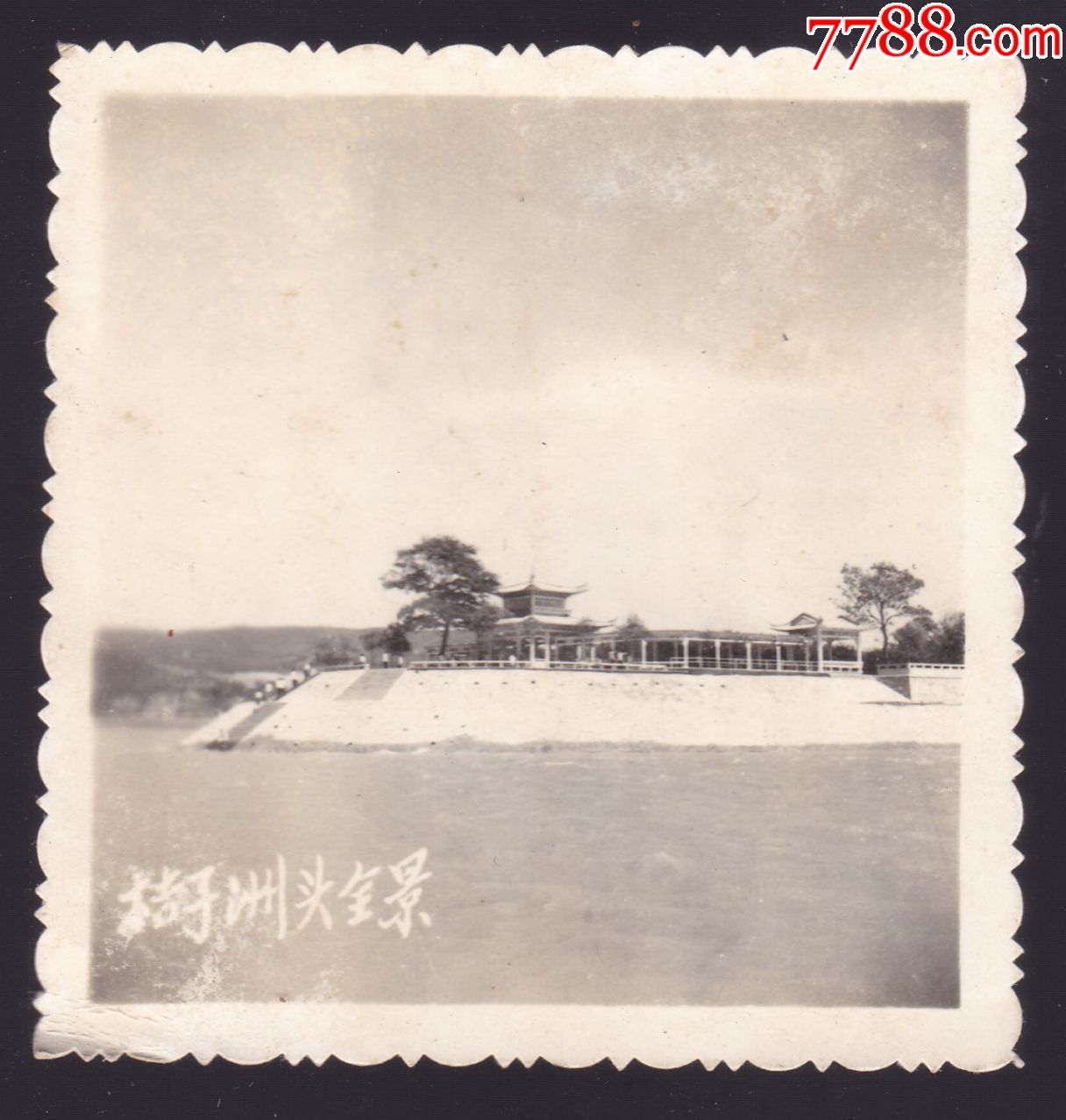 文革老照片--长沙橘子洲头全景