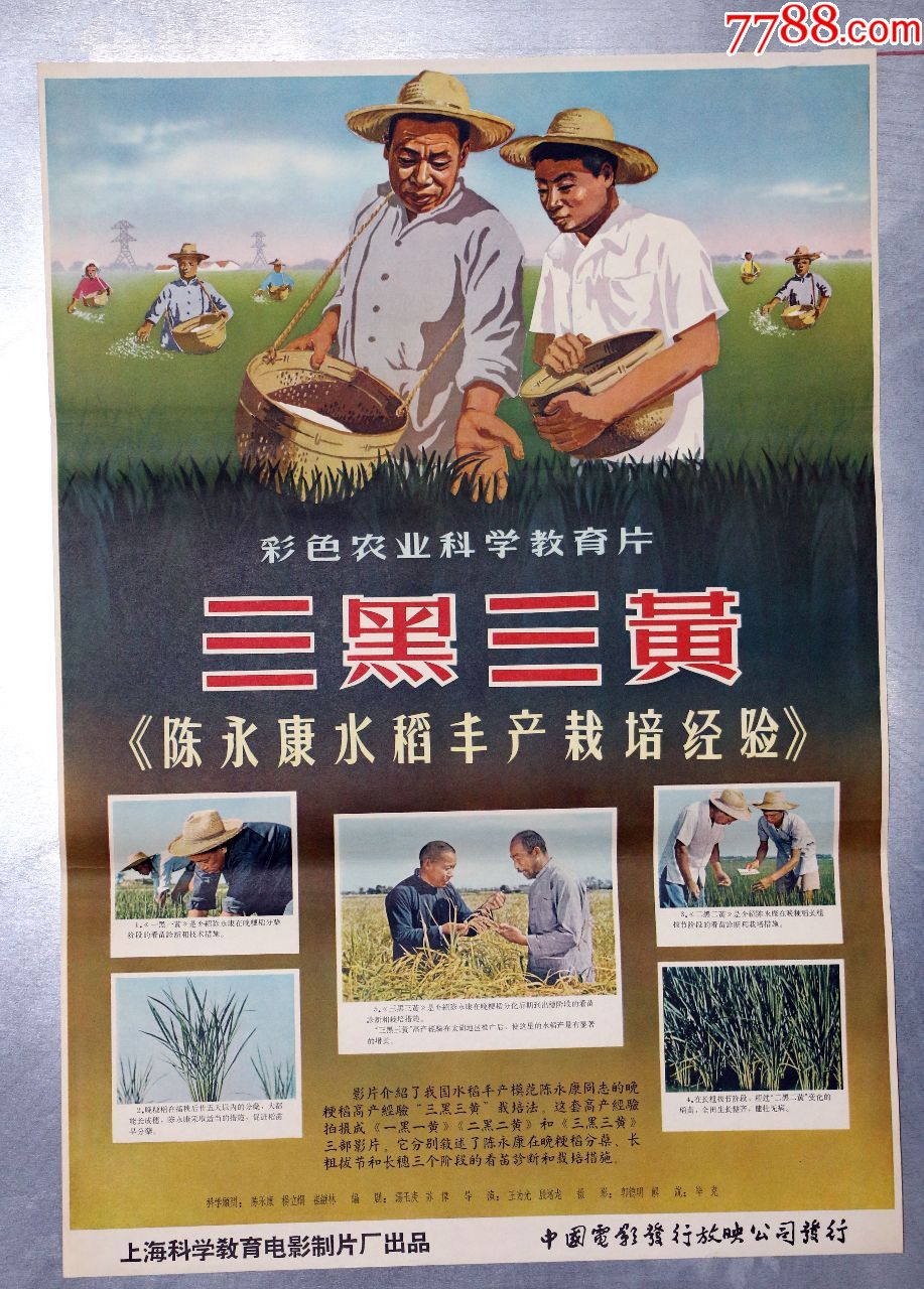 三黄三黑--农业合作社题材