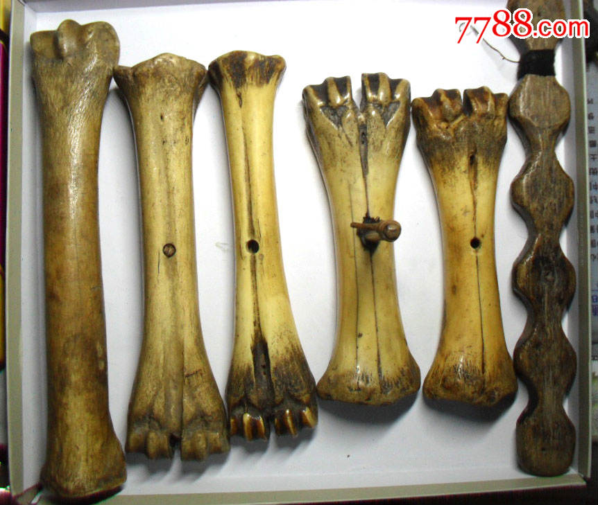  !doctype html>  html lang="en">  head>