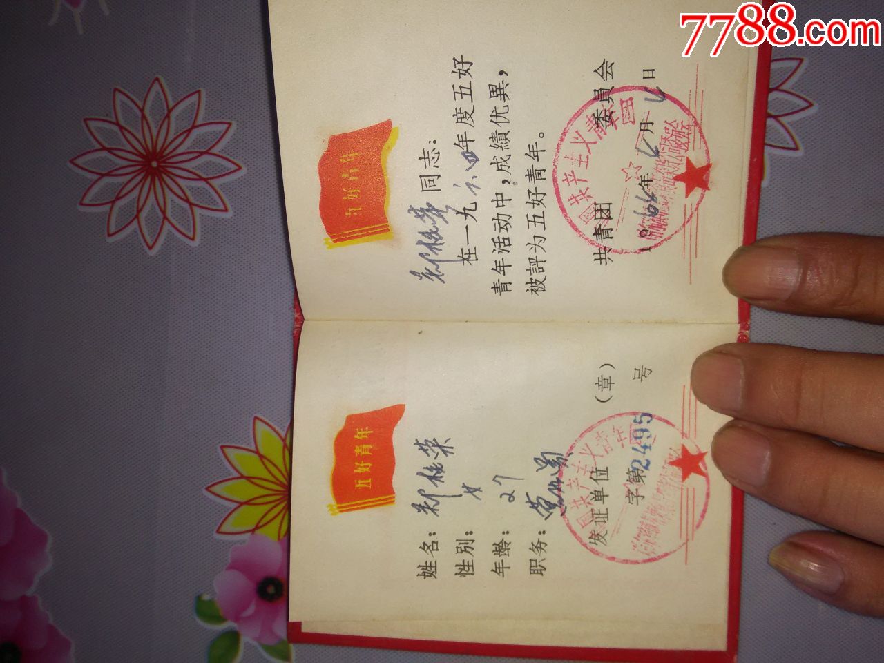 五好青年证书_奖状/荣誉证书_常青书店【7788收藏__中国收藏热线】