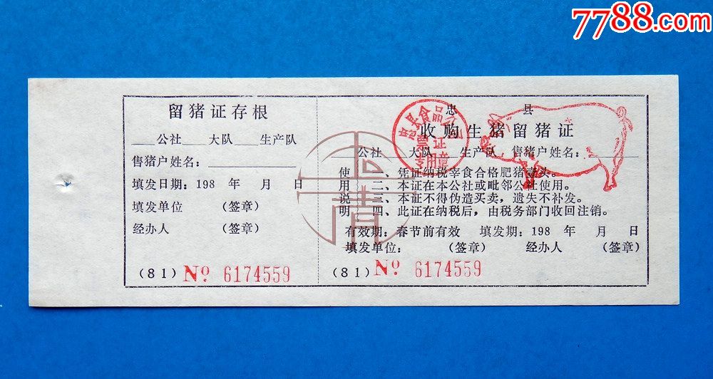 81年四川忠县收购生猪留猪证