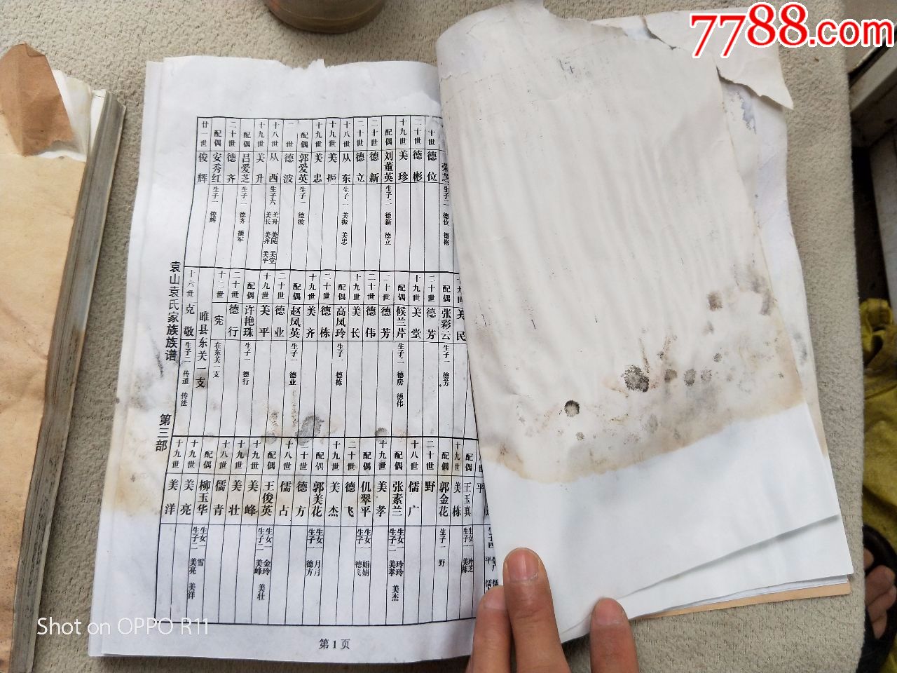 a2634,袁氏家谱2本合售,品相差些前面的铜版纸插图有些揭不开了