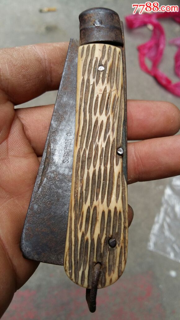 骨质外壳带款刀