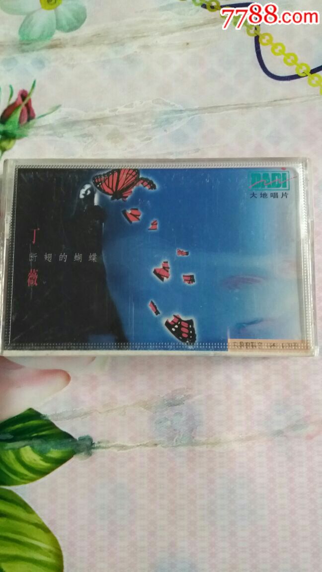丁薇断翅的蝴蝶