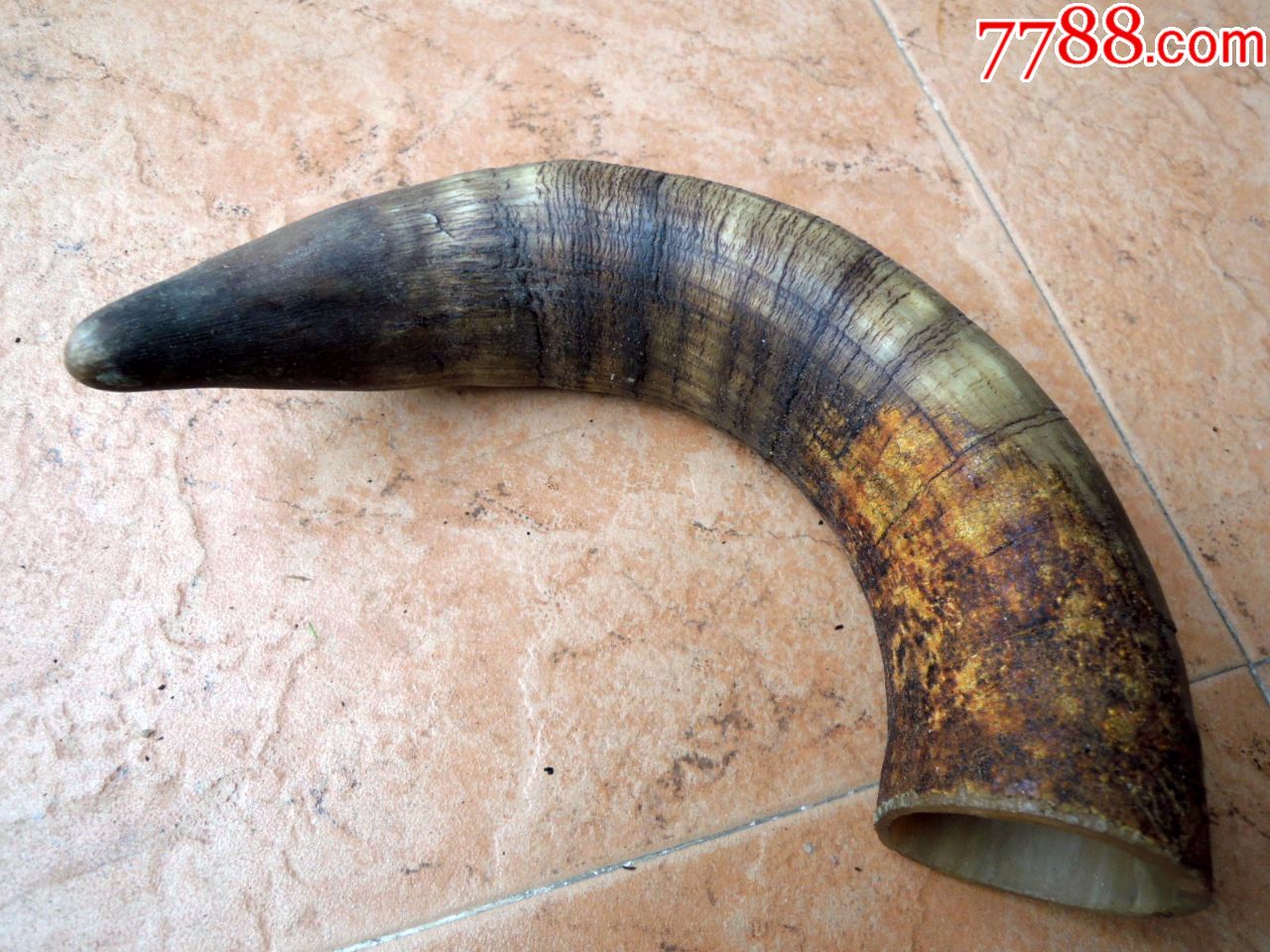 民俗收藏180501-边疆早期民族地区大号老黄牛角辟邪玩