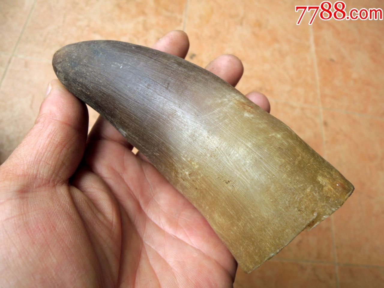 民俗收藏180504-边疆早期民族地区小号老黄牛角辟邪玩