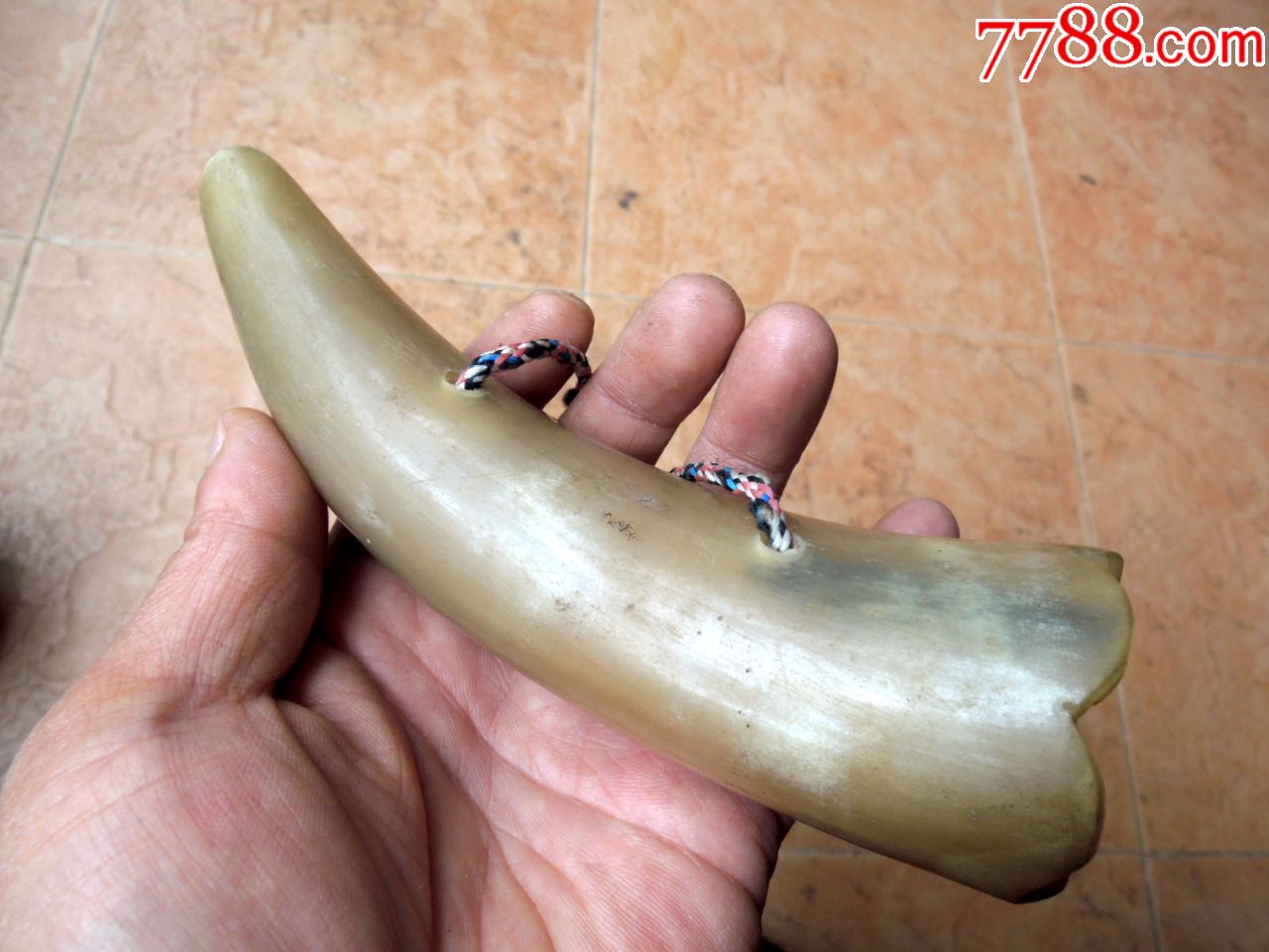 民俗收藏180505-边疆早期民族地区中号老黄牛角辟邪玩