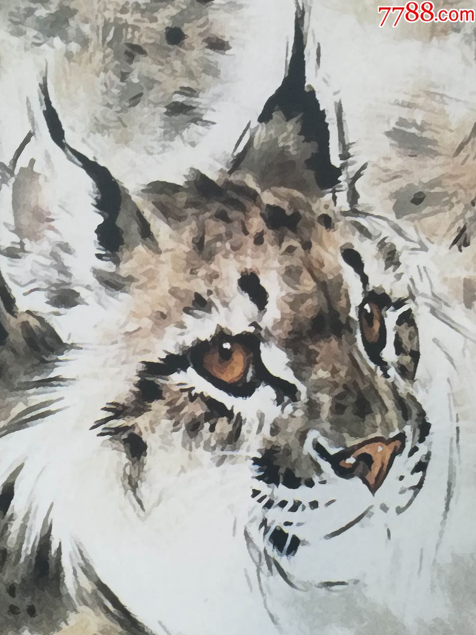 刘继卣《猞猁》