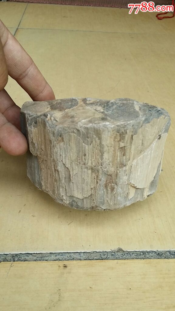木化石_价格88元【老铁爱收藏】_第1张_7788收藏__收藏热线