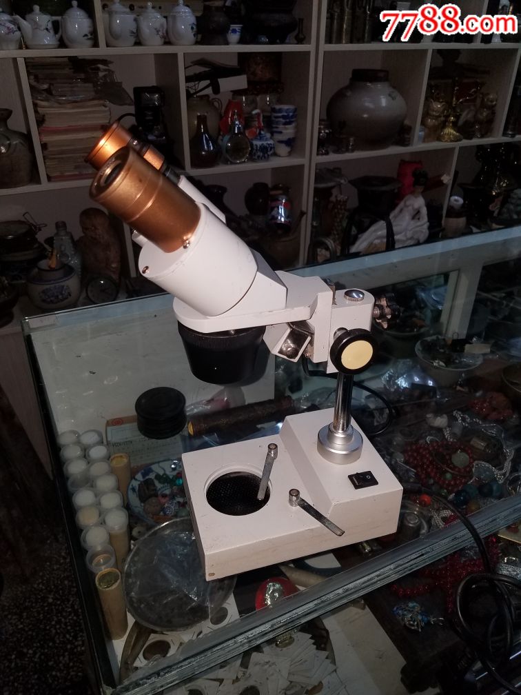 少见双筒显微镜