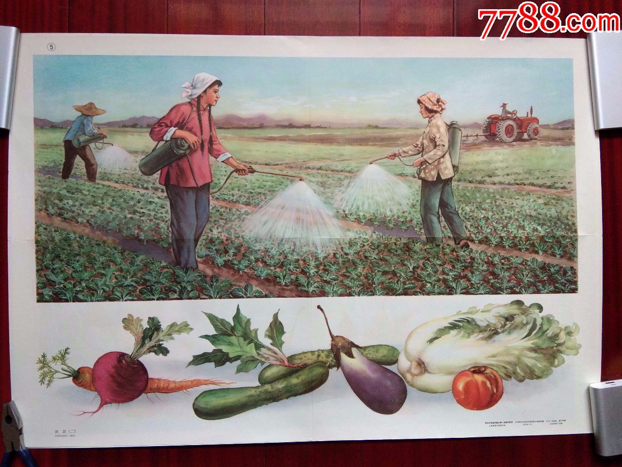 六十年代挂图《农民(二)》.漂亮!