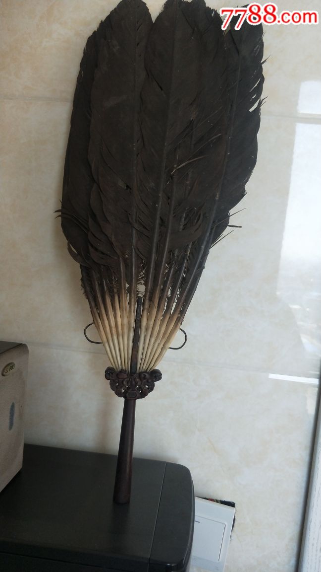 羽毛扇,诸葛亮扇