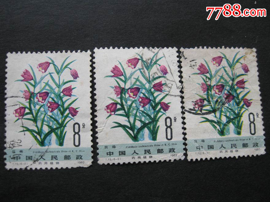 t72药用植物二组6一2信销邮票