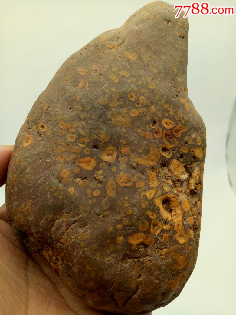 月亮球粒陨石-陨石-7788收藏