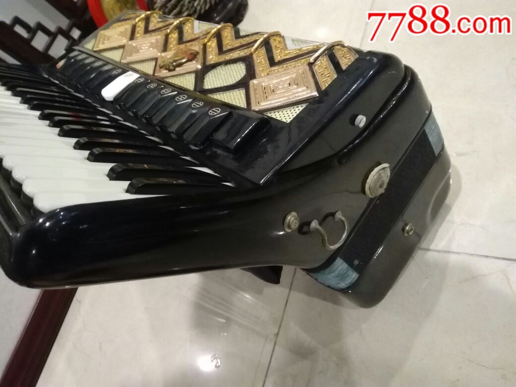 天津鹦鹉牌手风琴,120键
