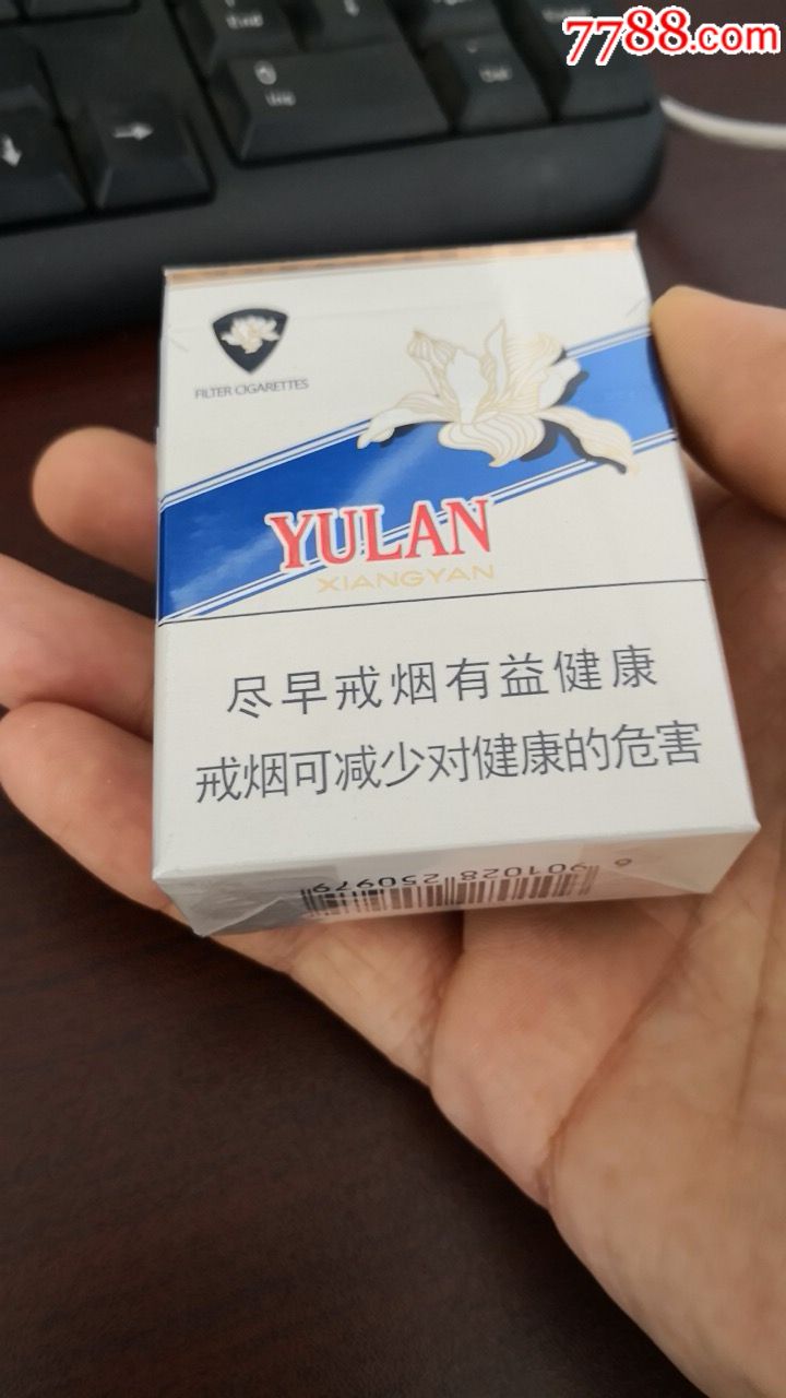 短支玉兰条码979尽早实物