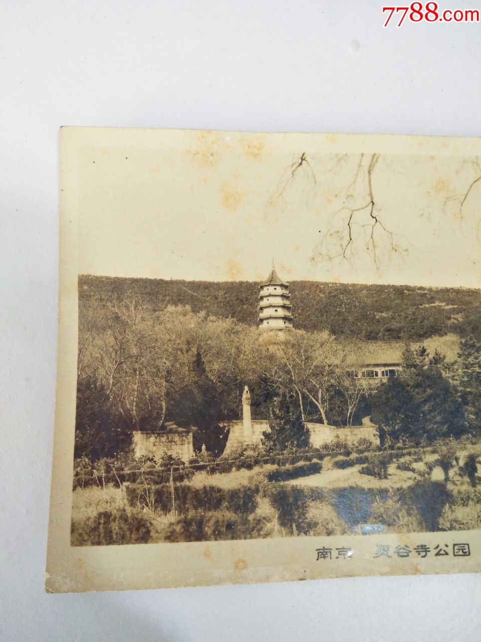 (南京灵谷寺公园)老照片