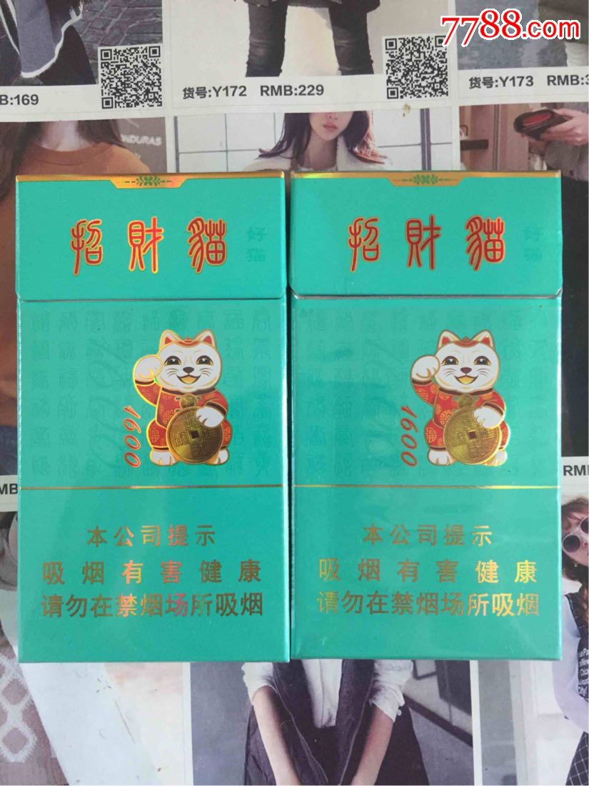 陕西好猫招财猫(16版一对)