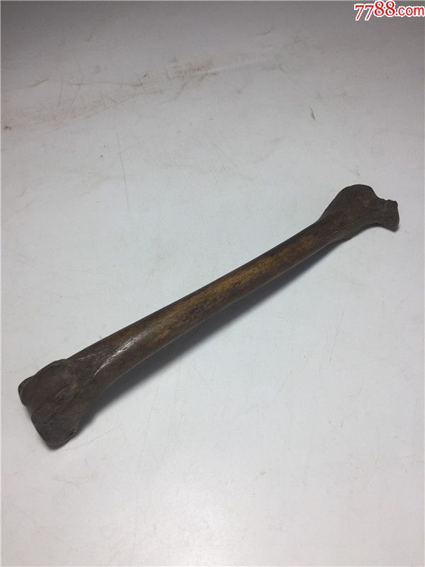 逸品文玩传世好皮壳禽类腿骨法器保真古玩怀旧收藏老物件