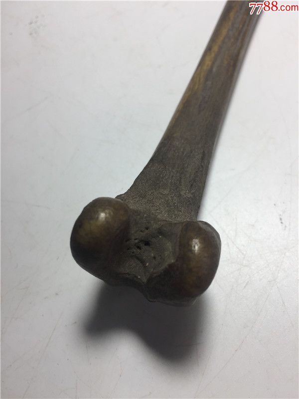 逸品文玩传世好皮壳禽类腿骨法器保真古玩怀旧收藏老物件