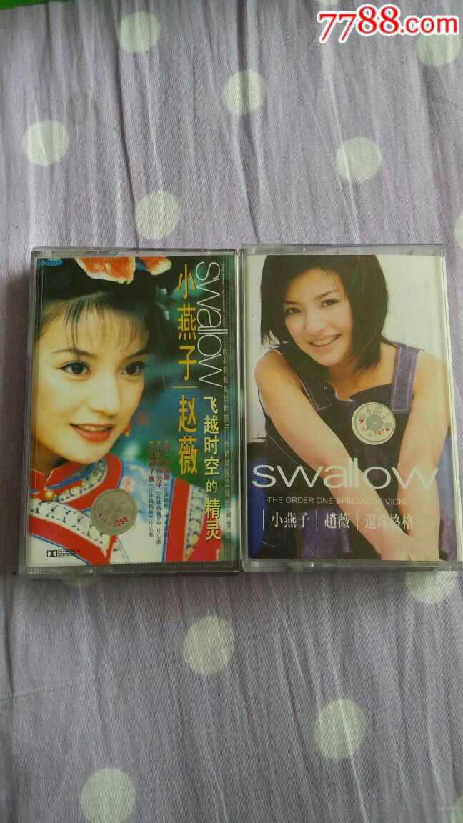 小燕子赵薇:飞越时空的精灵,还珠格格(2盘合售30)