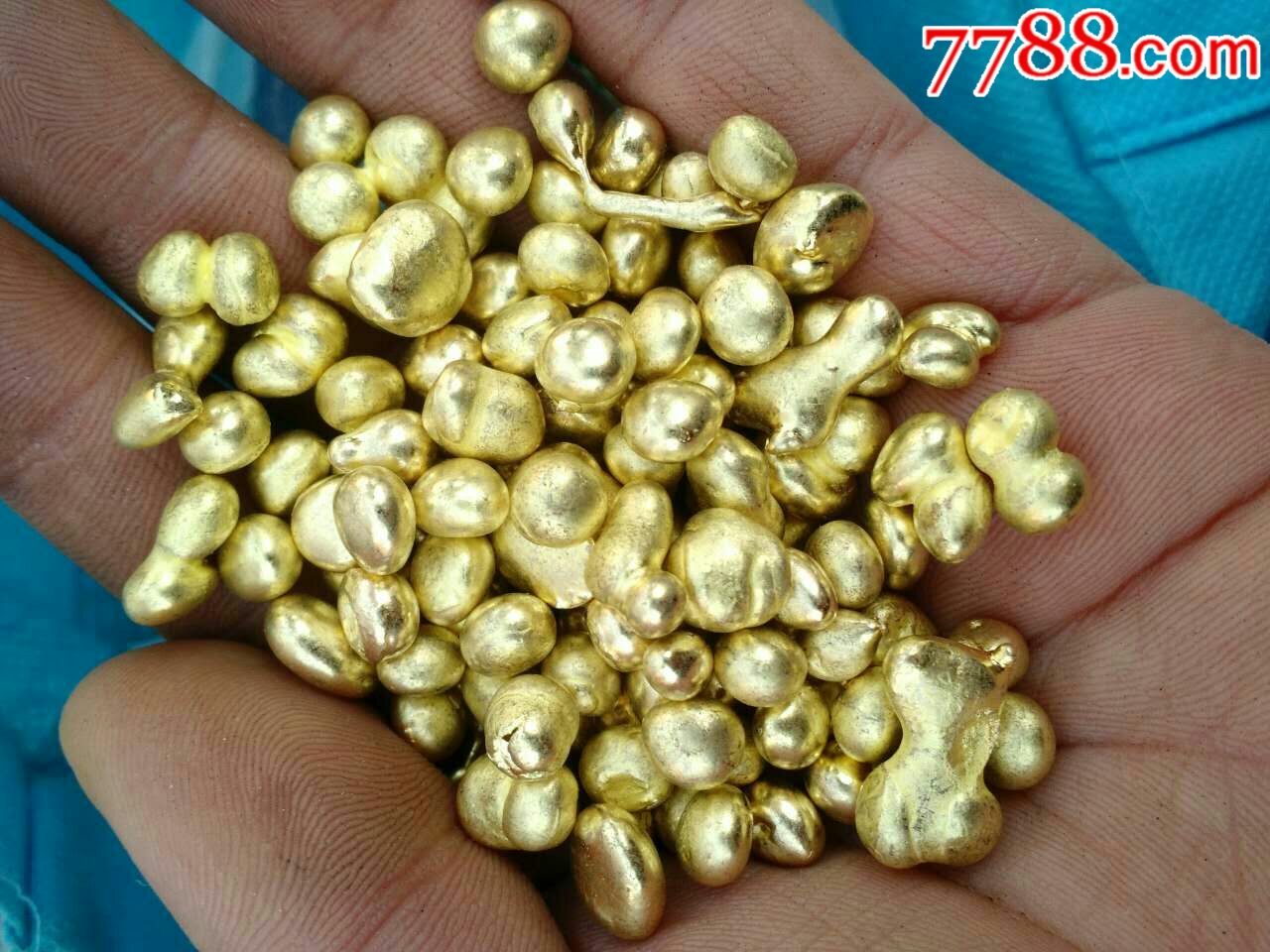 牙金
