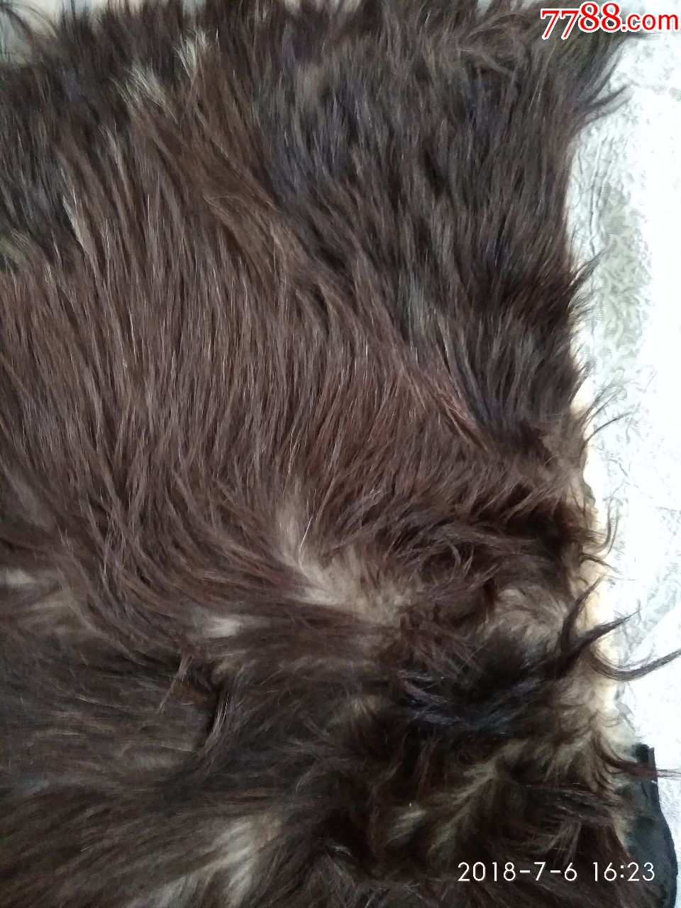 建国初期罕见的皮褥子