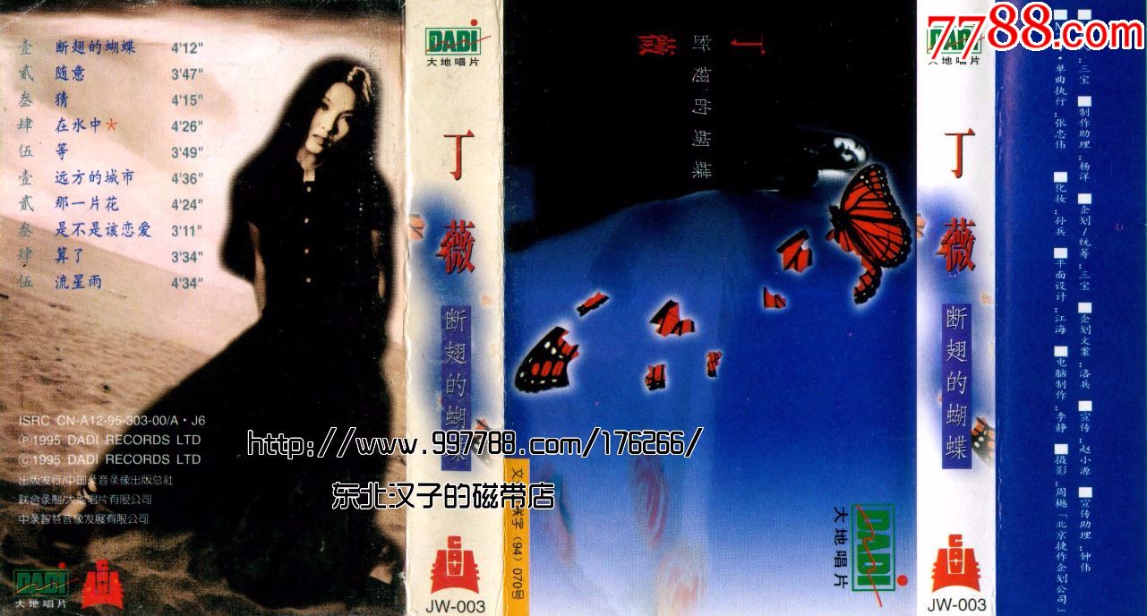 女声丁薇断翅的蝴蝶(中国录音录像出版总社)
