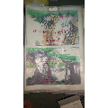 幼兒園對開大幅教學掛圖第十一輯10張全(se60619773)_許昌收藏社