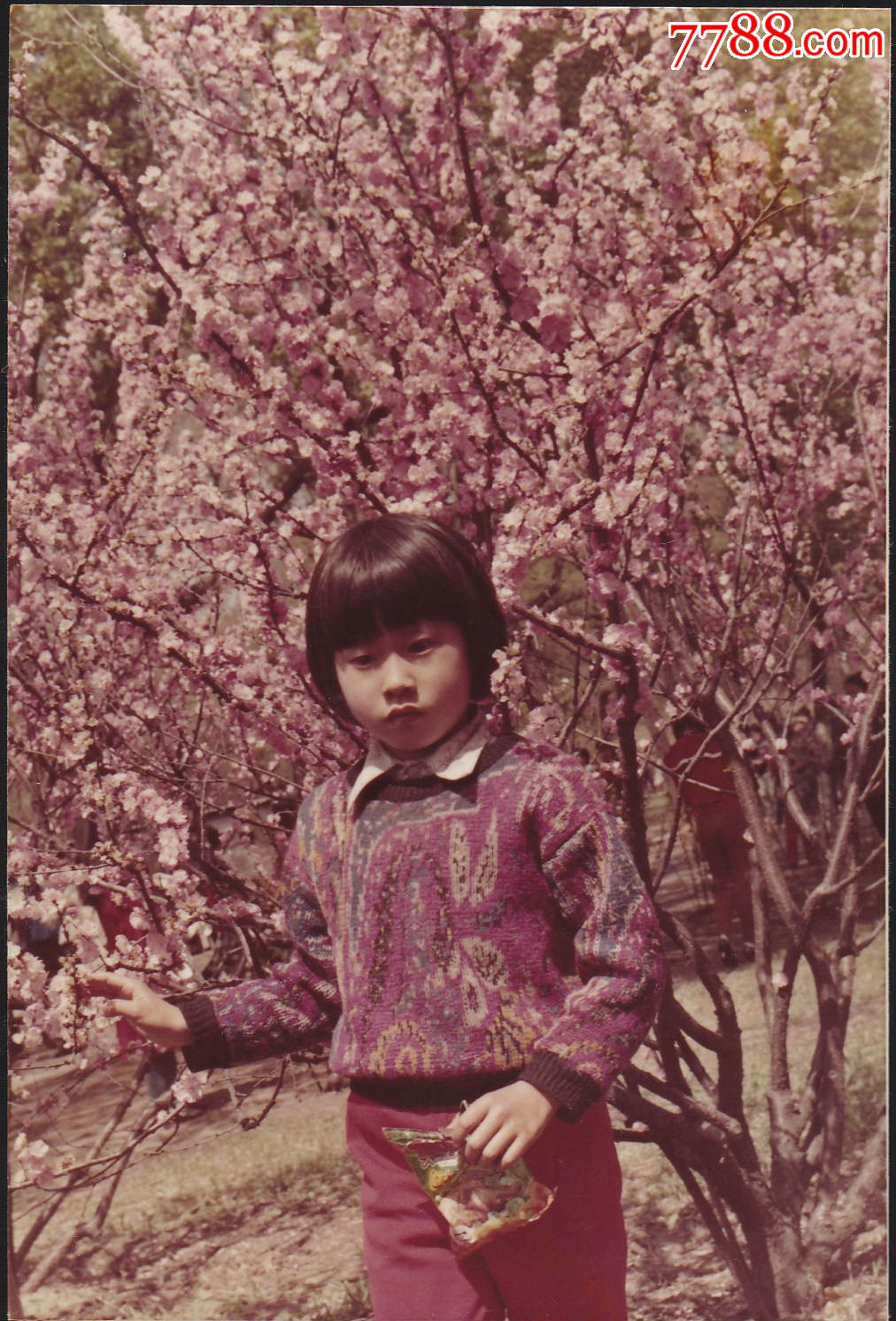 80年代儿童系列--小女孩在桃花树下留影