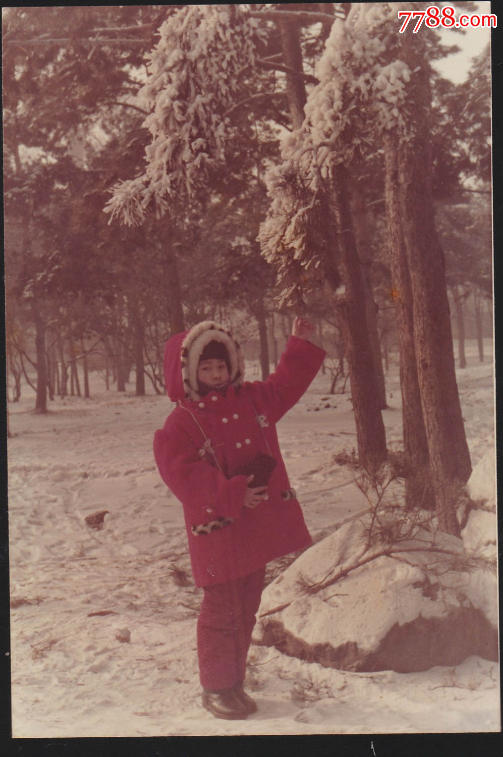 80年代儿童系列--小女孩哈尔滨动物园留影,老照片_第1张_7788老照片