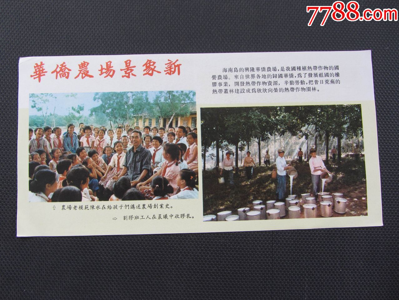 【文革空投台湾传单】华侨农场景象新