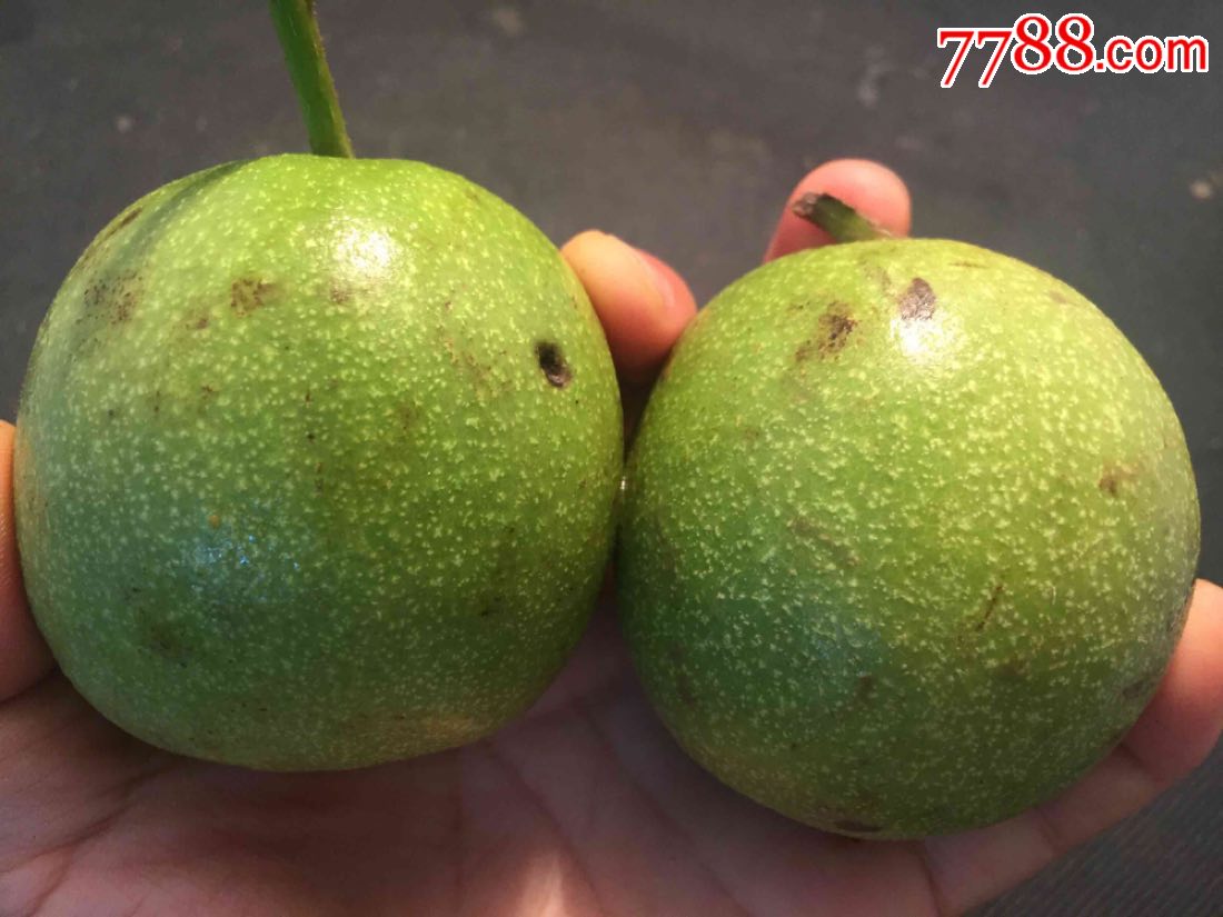 公子帽青皮_文玩核桃_第2张_7788核雕收藏