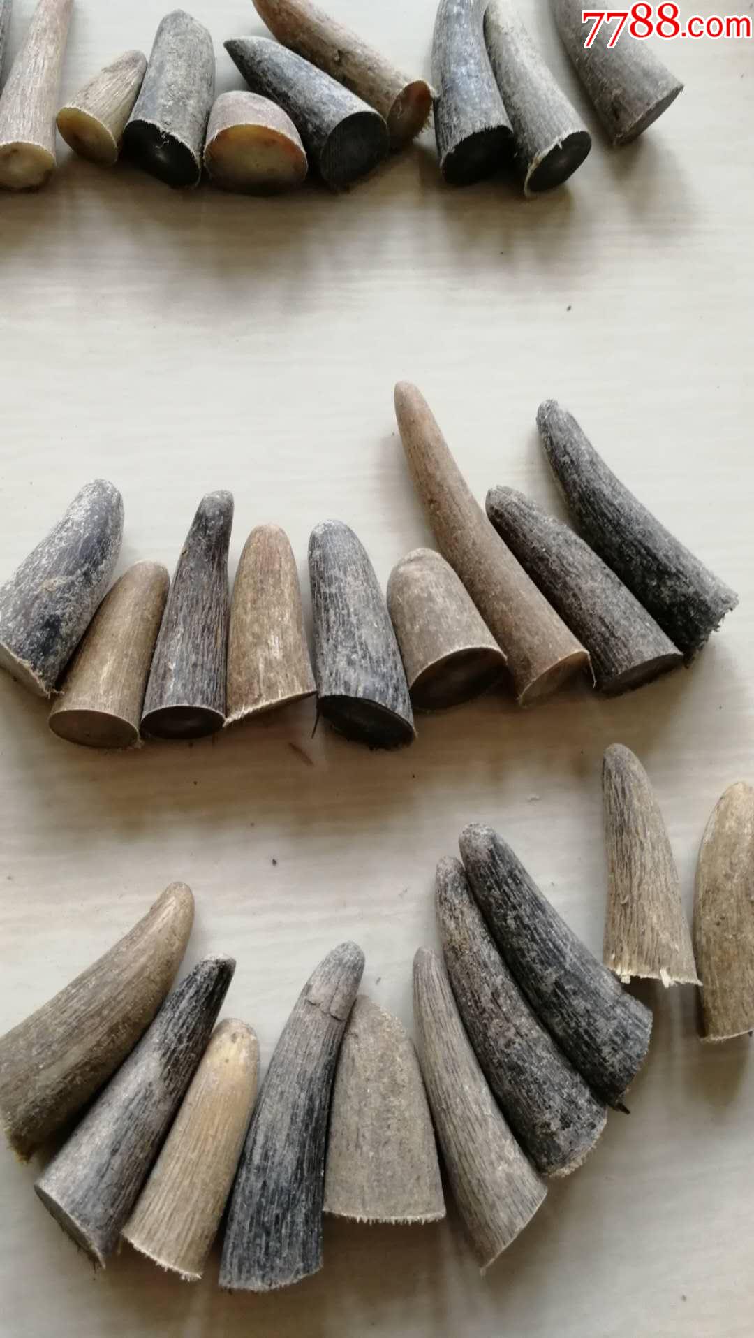 库存天然南亚老牛角一组