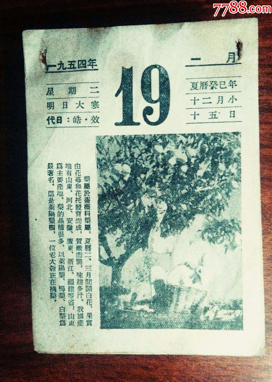 1954年日历