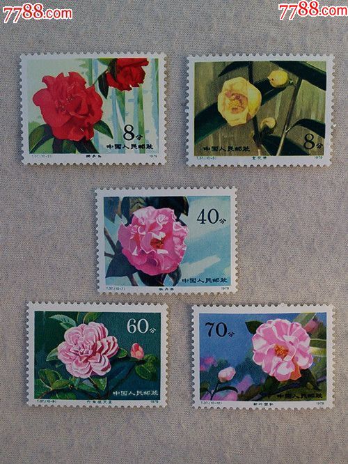 j37,山茶花_新中国邮票_收藏行情_回收价格_7788邮票收藏