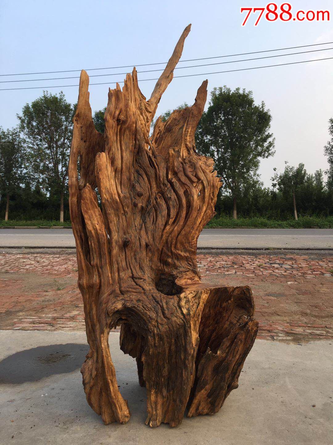 千年风化核桃木