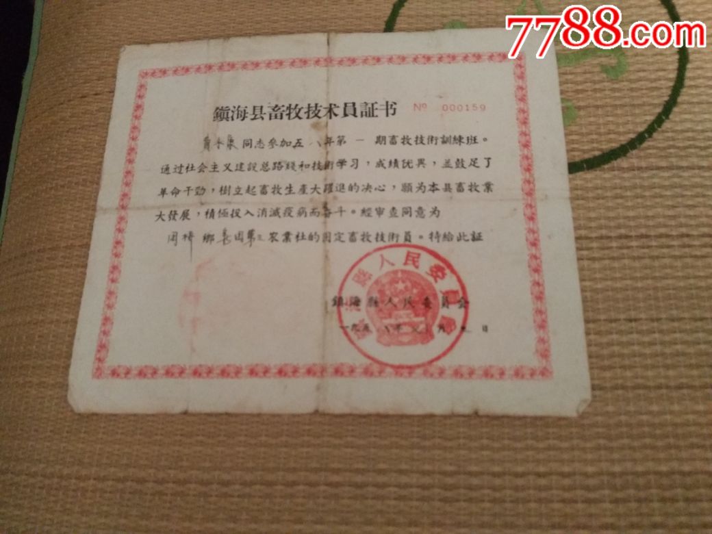 5635918.jpg