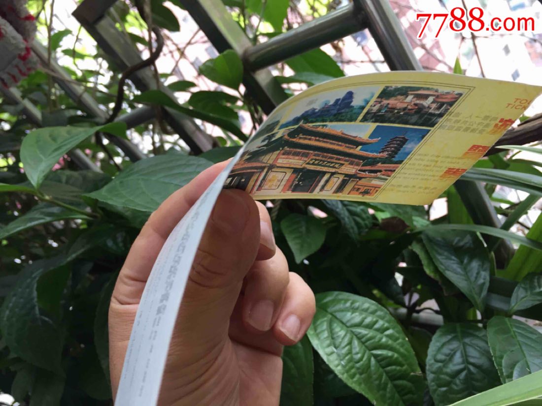广州番禺飞龙世界游乐城游览券