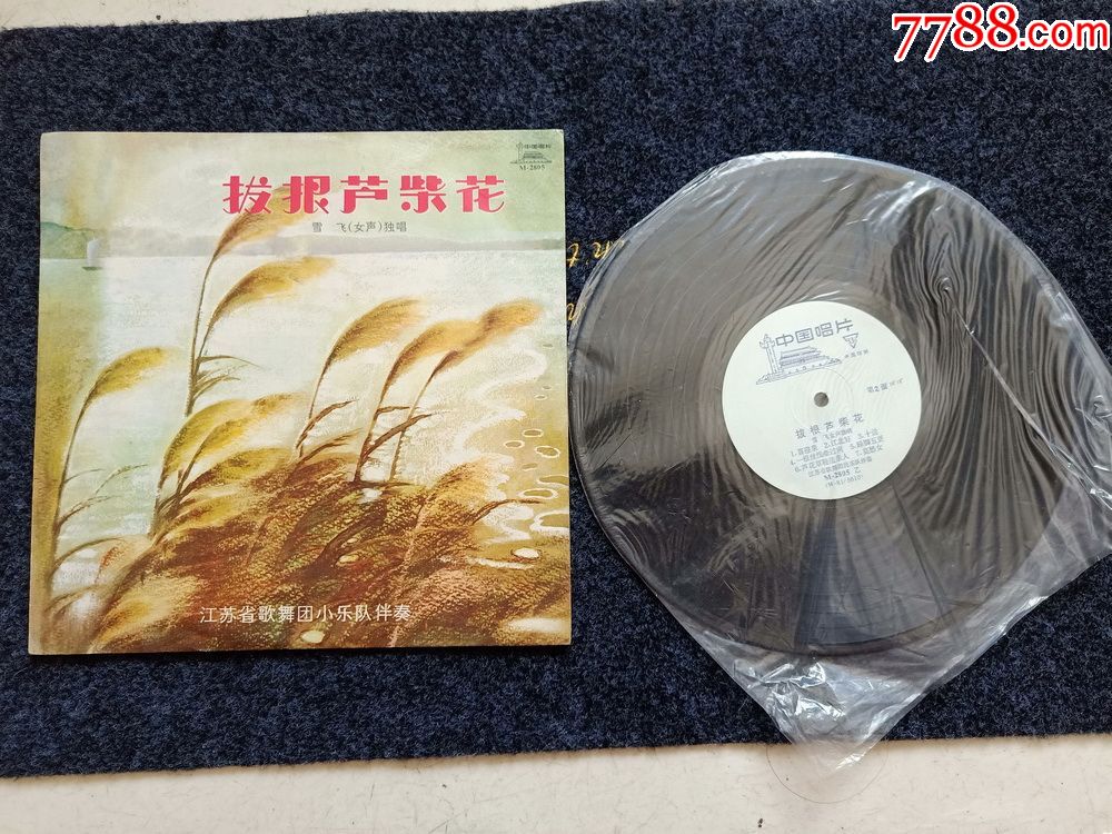 拔根芦柴花