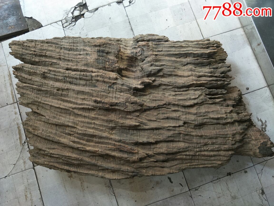 金丝楠木茶台一个,自然风化而成
