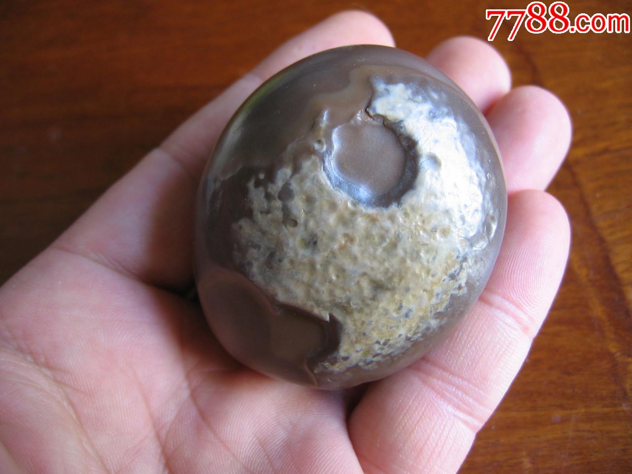 埃及戈壁原石凤凰