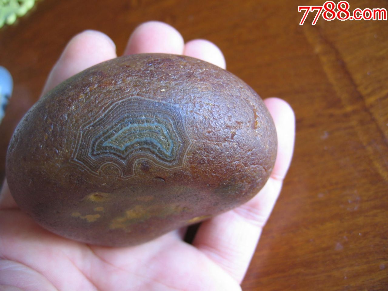 埃及戈壁原石玛瑙质